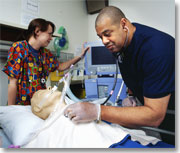 Respiratory Care students
